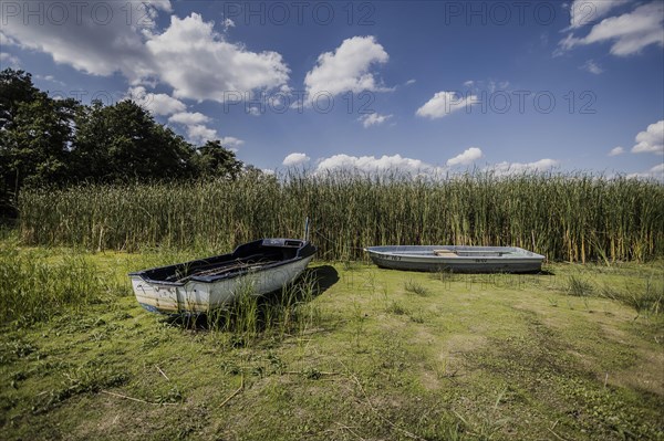 Boats lie at low water level at a dried up river bank near Waldhufen, Due to persistent heat and lack of precipitation many waters in Saxony are dried up or carry little water., Waldhufen, Germany, Europe