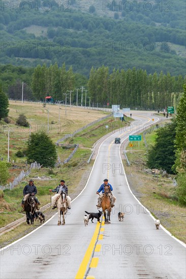 Three gauchos riding horses, accompanied by dogs, on a road in Villa Cerro Castillo, Cerro Castillo National Park, Aysen, Patagonia, Chile, South America