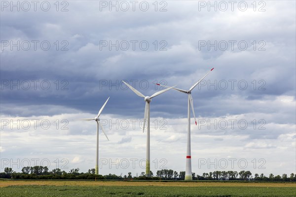 Kengen Wind Farm on the Lower Rhine, Rheurdt, North Rhine-Westphalia, Germany, Europe