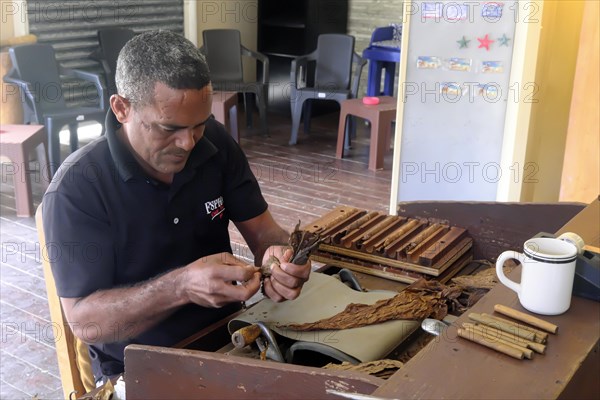 Making a cigar in the Centro Historico, Old Town of Puerto Plata, Dominican Republic, Caribbean, Central America