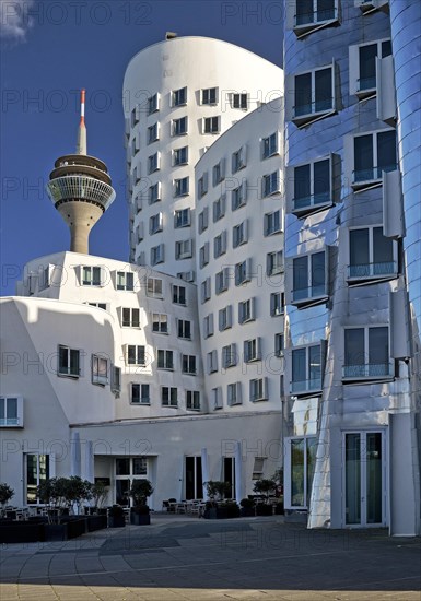 The Neue Zollhof with two Gehry buildings and the Rhine Tower, Duesseldorf, North Rhine-Westphalia, Germany, Europe