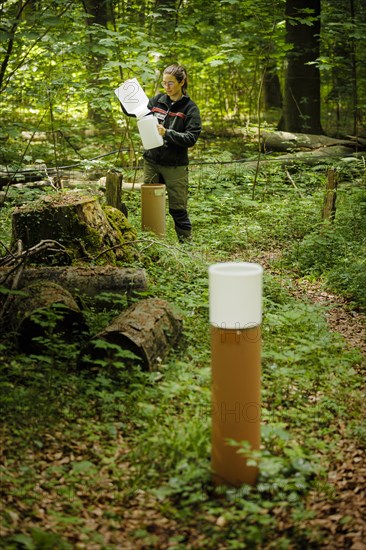 A staff member of the Northwest German Forest Research Institute checks a crown eaves collector on an experimental plot in a deciduous forest in Lower Saxony. Here, research is being conducted into how the forest can be prepared for the challenges in times of climate change. Mackenrode, 28.06.2022, Mackenrode, Germany, Europe