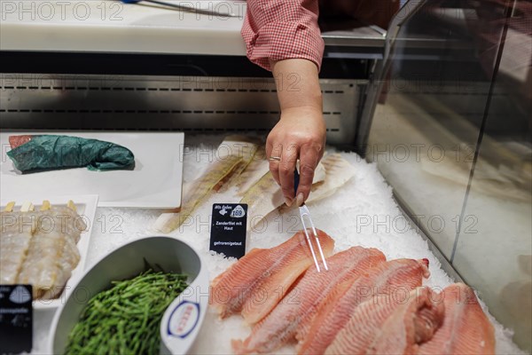 Salicorn algae and Claresse, catfish hybrid from a fish farm and pike-perch fillet, are offered in the supermarket., Radevormwald, Germany, Europe