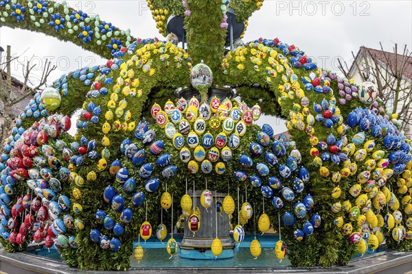 Easter fountain, 11000 hand-painted eggs decorate the village fountain at Easter in Schechingen, Ostalbkreis, Baden-Wuerttemberg, Germany, Europe