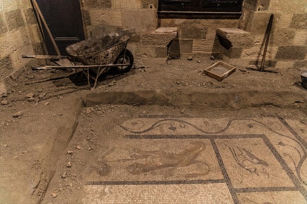 Excavation of mosaic floors, Grand Masters Palace built in the 14th century by the Johnnite Order, Fortress and Palace for the Grand Master, UNESCO World Heritage Site, Old Town, Rhodes Town, Greece, Europe