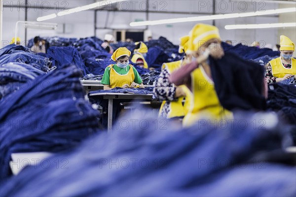 Women workers produce jeans at the Afrasyab jeans factory in Samarkand, 02.11.2022., Samarkand, Uzbekistan, Asia