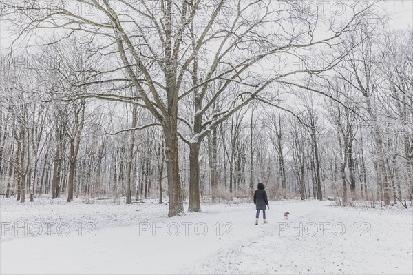 A woman with a dog walks through the Tiergarten after snowfall at night in Berlin, Feb 06, 2023., Berlin, Germany, Europe