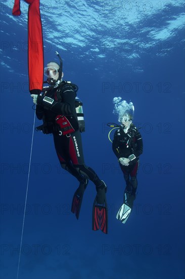 Diver, diver, exercise, setting the safety buoy, 3rd holding the safety buoy until it is filled with air, Red Sea, Hurghada, Egypt, Africa