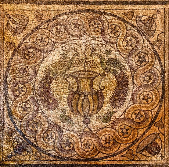 Mosaic floor circular ornaments from Kos, 5th century, Grand Masters Palace built in the 14th century by the Johnnite Order, fortress and palace for the Grand Master, UNESCO World Heritage Site, Old Town, Rhodes Town, Greece, Europe
