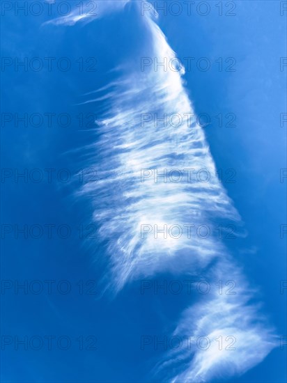 Feather cloud Cirrus Zirrus, ice cloud at high altitude, Germany, Europe