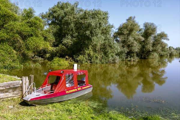 Flooding after heavy rain in North Rhine-Westphalia in the nature reserve at the Grietherorter and Bienener Altrhein, road flooded, boat of the fire brigade Rees, Rees, North Rhine-Westphalia, Germany, Europe