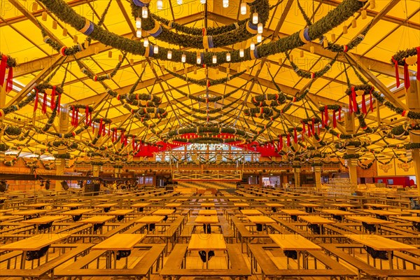 Wiesnaufbau, beer tavern in the Ochsenbraterei marquee, Oktoberfest, Theresienwiese, Munich, Upper Bavaria, Bavaria, Germany, Europe