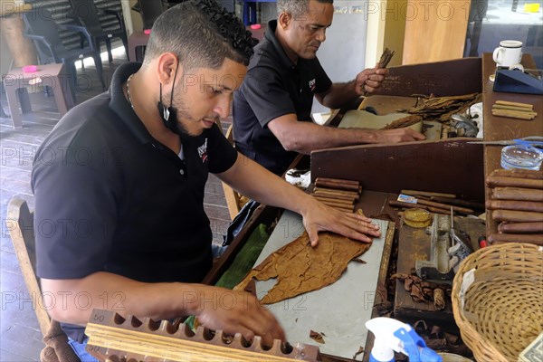 Making a cigar in the Centro Historico, Old Town of Puerto Plata, Dominican Republic, Caribbean, Central America