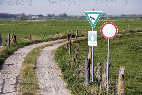 Nature reserve near Rees on the Lower Rhine, field path, pasture, paddock, pasture fences, meadow, Rees, North Rhine-Westphalia, North Rhine-Westphalia, Germany, Europe