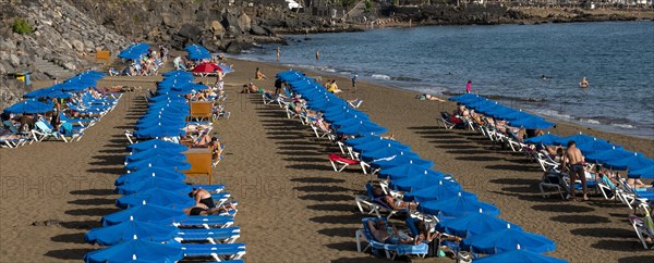 Playa de los Pocillos, Lanzarote, Canary Islands, Spain, Europe