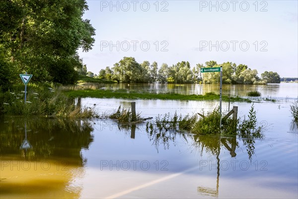 Flooding after heavy rain in North Rhine-Westphalia in the nature reserve at the Grietherorter and Bienener Altrhein, Rees, North Rhine-Westphalia, Germany, Europe