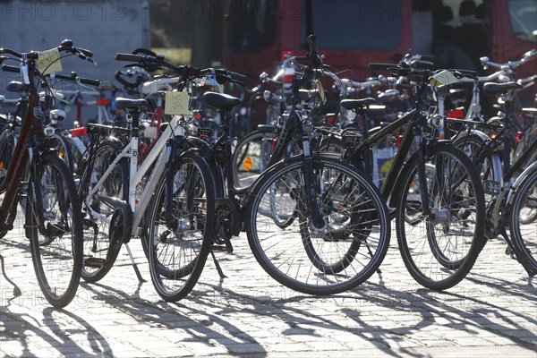 Parking bicycles backlit with price tags standing on the asphalt at a bicycle market, Germany, Europe