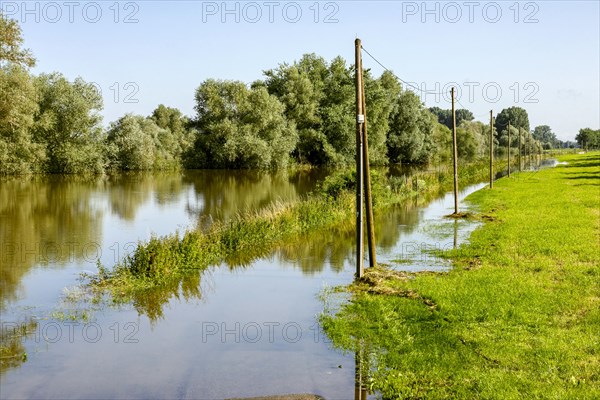 Flooding after heavy rain in North Rhine-Westphalia in the nature reserve on the Grietherort and Bienener Altrhein, road flooded, Rees, North Rhine-Westphalia, Germany, Europe