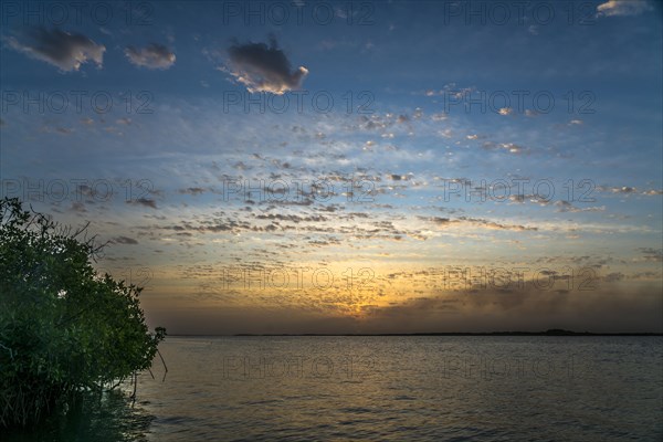 Sunset in the Sine Saloum Delta, Senegal, West Africa, Africa