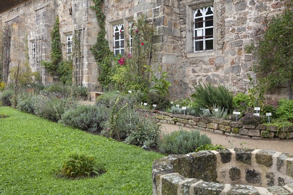 Michaelstein Monastery, Herb Garden, Blankenburg, Harz, Saxony-Anhalt, Germany, Europe