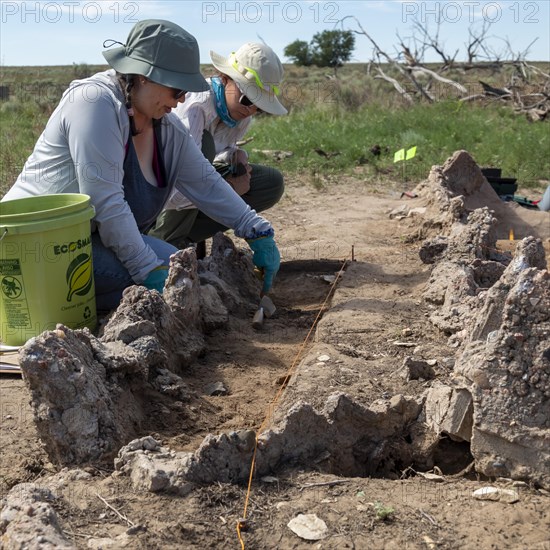 Granada, Colorado, The University of Denver Archaeology Field School at the World War 2 Amache Japanese internment camp. Camp survivors and descendents joined students in researching the camps history. Eleanor Oi, whose father and grandparents were interned at Amache, helps with the excavation of a pond that residents built. More than 7, 000 Japanese and Japanese-Americans were held at the site, one of 10 internment camps in the American west