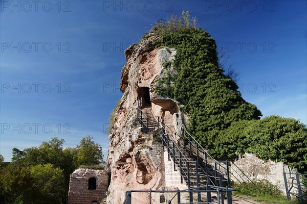 Ruin, Drachenfels Castle, Busenberg, Wasgau, Rhineland-Palatinate, Germany, Busenberg, Rhineland-Palatinate, Germany, Europe