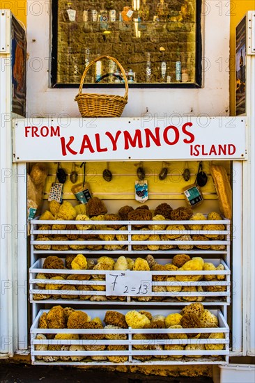 Natural sponges, Old Town Alley, Rhodes Town, Greece, Europe