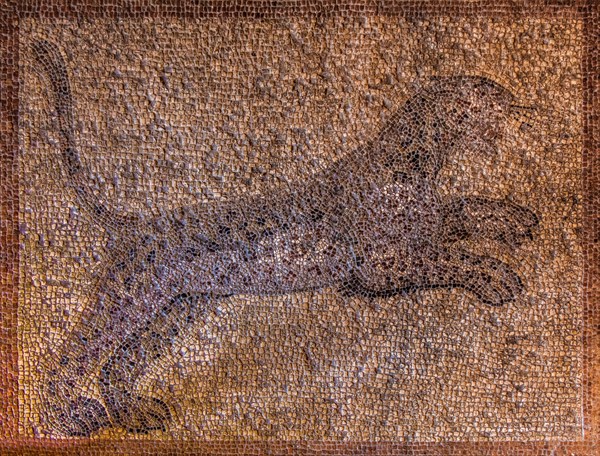 Mosaic floor with leopards from Kos, 3rd century, Grand Masters Palace built in the 14th century by the Johnnite Order, fortress and palace for the Grand Master, UNESCO World Heritage Site, Old Town, Rhodes Town, Greece, Europe