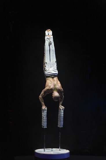 Artist in circus ring