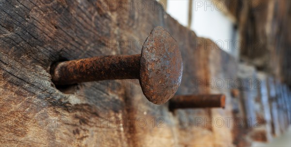 Rusty nail in wooden board, Lanazrote, Spain, Europe