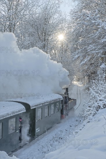 Winter steam locomotive ride of the Steyrtalbahn museum railway in Gruenburg, Upper Austria, Austria, Europe