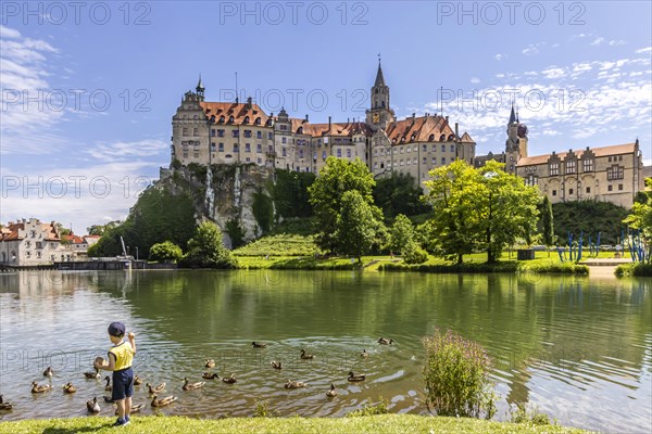 Hohenzollernschloss, Sigmaringen Castle, former princely residence and administrative seat of the Princes of Hohenzollern-Sigmaringen, Sigmaringen, Baden-Wuerttemberg, Germany, Europe