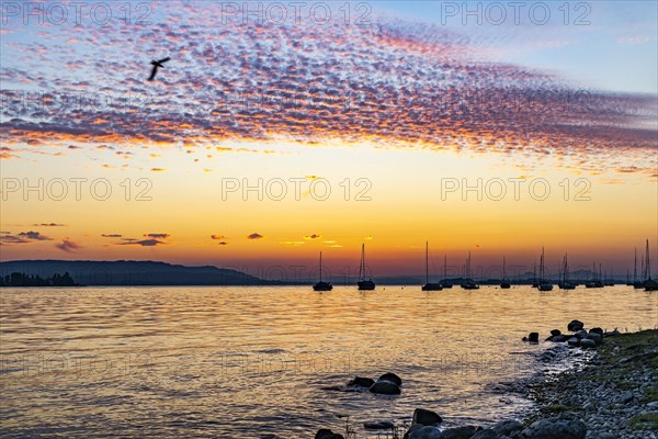 Sunset on Lake Constance, Allensbach, Baden-Wuerttemberg, Germany, Europe