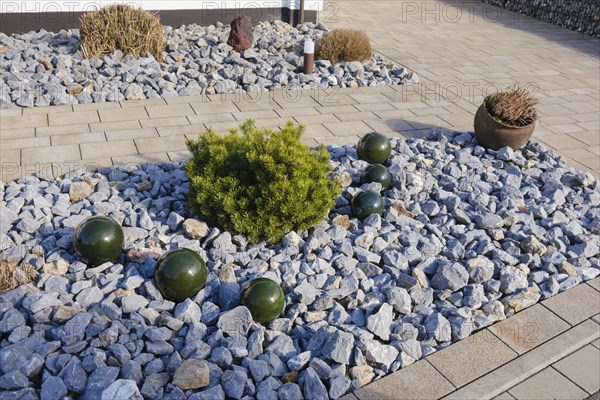 Modern front garden, gravel garden, Kamen, North Rhine-Westphalia, Germany, Europe