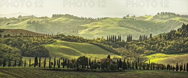 Landscape Crete Tuscany Panorama Italy