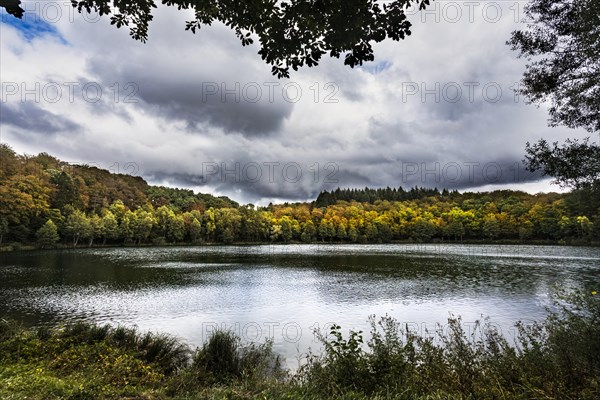 Holzmaar in the Volcanic Eifel, almost completely surrounded by forest, beech forest, maars, maar, lake, nature reserve, Gillenfeld, Rhineland-Palatinate, Germany, Europe