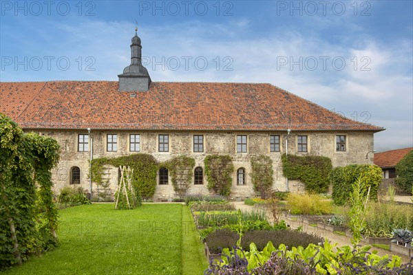 Michaelstein Monastery, vegetable garden, Blankenburg, Harz, Saxony-Anhalt, Germany, Europe