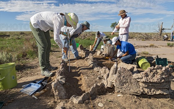 Granada, Colorado, The University of Denver Archaeology Field School at the World War 2 Amache Japanese internment camp. Camp survivors and descendents joined students in researching the camps history. Here, they excavate a pond built by camp residents. More than 7, 000 Japanese and Japanese-Americans were held at the site, one of 10 internment camps in the American west