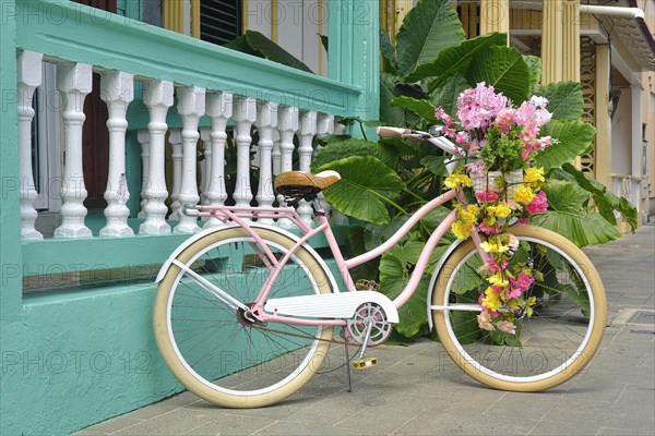 Bicycle with flowers in front of a colonial house in the Centro Historico, Old Town of Puerto Plata, Dominican Republic, Caribbean, Central America