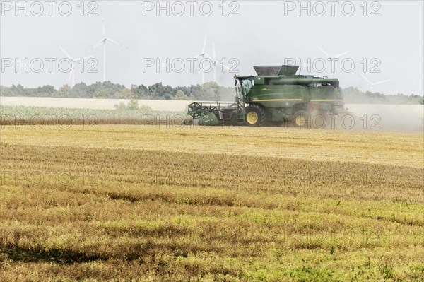 A combine harvester threshes in a grain field in Markersdo, Markersdorf, Germany, Europe