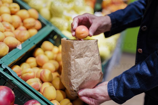 Selection of apricots, Radevormwald, Germany, Europe