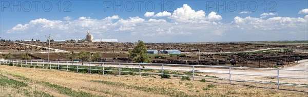 Ingalls, Kansas, The Irsik & Doll Feed Yard, which has a capacity of 42, 000 cattle. The company operates feed yards and grain elevators in central and western Kansas
