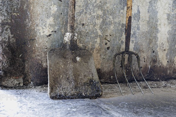 Shovel and pitchfork on a demeter farm in Holzkirchen, 16.06.2022., Holzkirchen, Germany, Europe