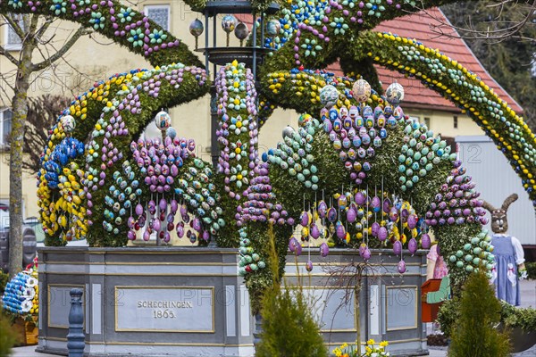 Easter fountain, 11000 hand-painted eggs decorate the village fountain at Easter in Schechingen, Ostalbkreis, Baden-Wuerttemberg, Germany, Europe