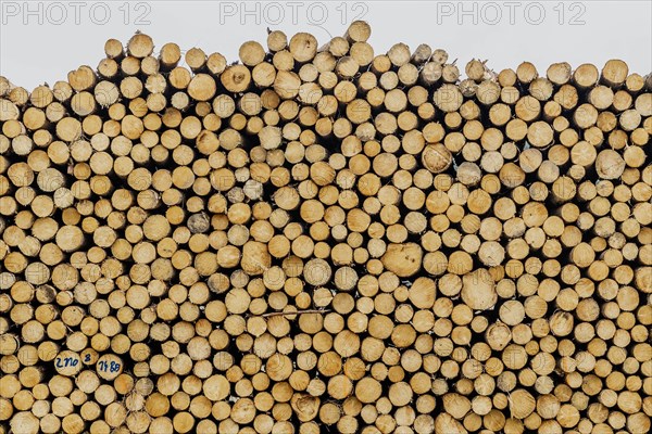 A woodpile looms in Grosskuni, Grosskunitz, Germany, Europe