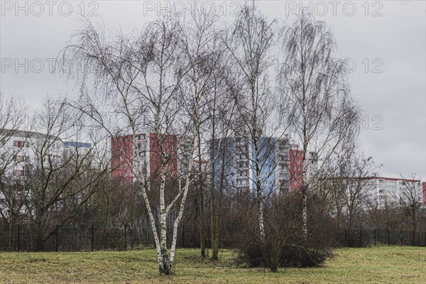 Apartment blocks in the Marzahn district, photographed in Berlin, 01.02.2023., Berlin, Germany, Europe