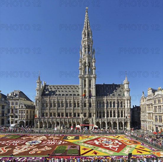 Flower carpet and tourists on the Grote Markt