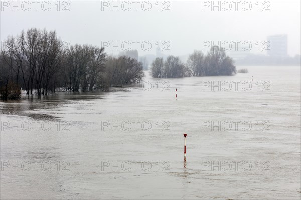 High water on the Rhine, flooding, Duesseldorf, North Rhine-Westphalia, Germany, Europe