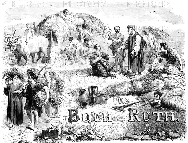 Cover, agriculture, grain, harvest, oxcart, cut, tie, ears, men, woman, helpers, work, outdoors, Bible, Old Testament, The Book of Ruth, historical illustration around 1850