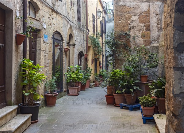 Courtyard with flowerpots, Pitigliano, Tuscany, Italy, Europe